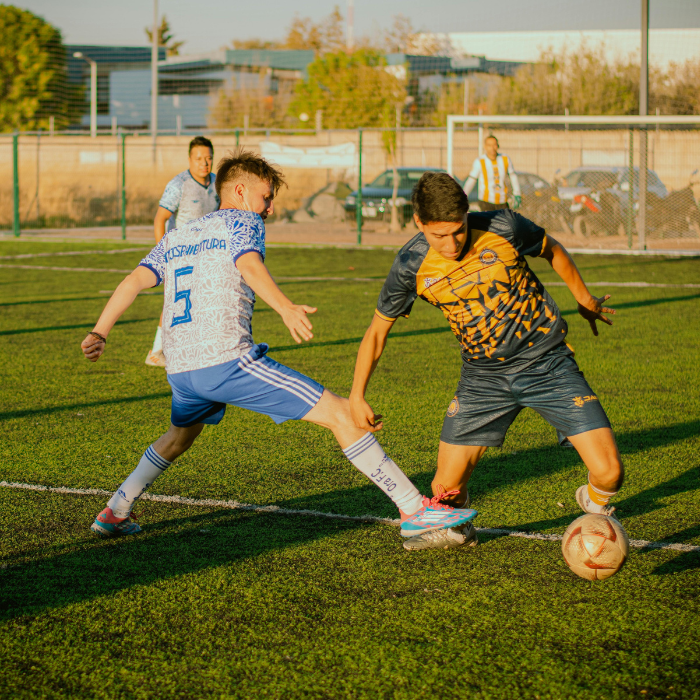 Maintain & Perform - Recomp / Athletic Maintenance Plan